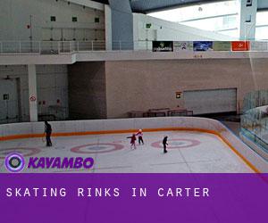 Skating Rinks in Carter