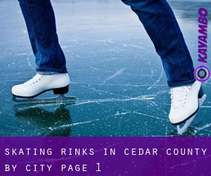 Skating Rinks in Cedar County by city - page 1