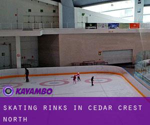 Skating Rinks in Cedar Crest North