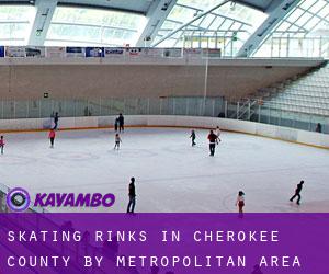 Skating Rinks in Cherokee County by metropolitan area - page 1