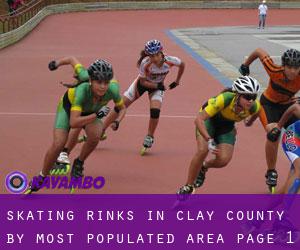 Skating Rinks in Clay County by most populated area - page 1