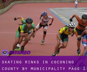 Skating Rinks in Coconino County by municipality - page 1