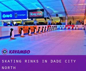 Skating Rinks in Dade City North