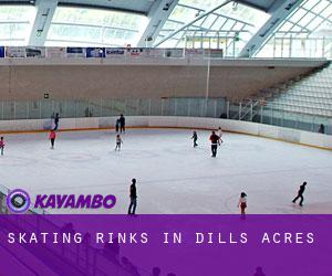 Skating Rinks in Dills Acres
