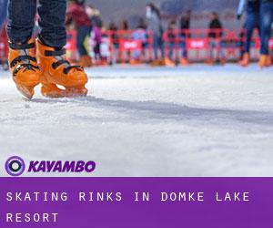 Skating Rinks in Domke Lake Resort