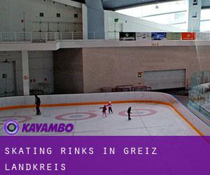 Skating Rinks in Greiz Landkreis
