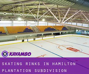 Skating Rinks in Hamilton Plantation Subdivision