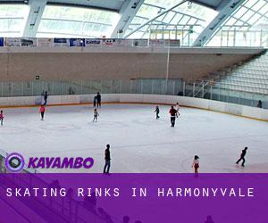Skating Rinks in Harmonyvale