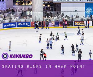 Skating Rinks in Hawk Point