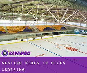 Skating Rinks in Hicks Crossing