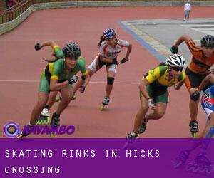 Skating Rinks in Hicks Crossing