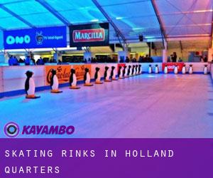 Skating Rinks in Holland Quarters