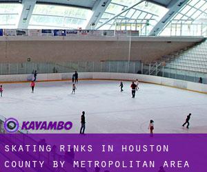 Skating Rinks in Houston County by metropolitan area - page 1