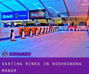 Skating Rinks in Koshkonong Manor