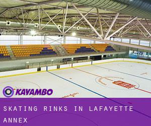 Skating Rinks in Lafayette Annex