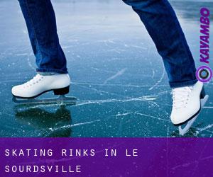 Skating Rinks in Le Sourdsville