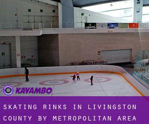 Skating Rinks in Livingston County by metropolitan area - page 1