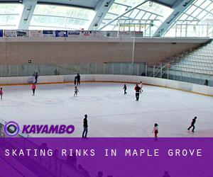 Skating Rinks in Maple Grove