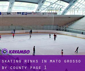 Skating Rinks in Mato Grosso by County - page 1