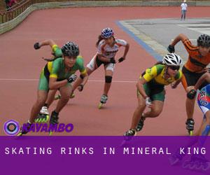 Skating Rinks in Mineral King
