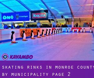 Skating Rinks in Monroe County by municipality - page 2