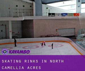 Skating Rinks in North Camellia Acres