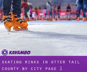 Skating Rinks in Otter Tail County by city - page 1