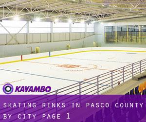 Skating Rinks in Pasco County by city - page 1