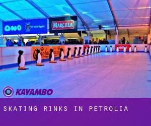 Skating Rinks in Petrolia