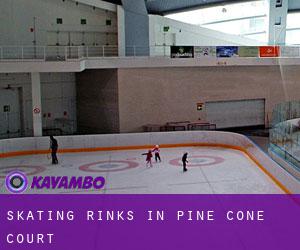 Skating Rinks in Pine Cone Court