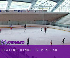 Skating Rinks in Plateau