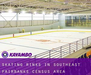 Skating Rinks in Southeast Fairbanks Census Area