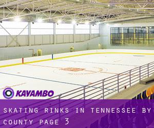 Skating Rinks in Tennessee by County - page 3