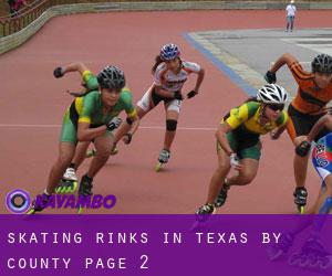 Skating Rinks in Texas by County - page 2