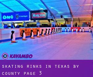 Skating Rinks in Texas by County - page 3