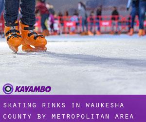 Skating Rinks in Waukesha County by metropolitan area - page 1