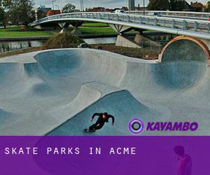 Skate Parks in Acme