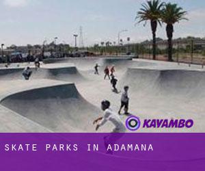 Skate Parks in Adamana