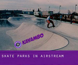 Skate Parks in Airstream