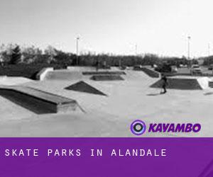 Skate Parks in Alandale
