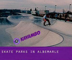 Skate Parks in Albemarle