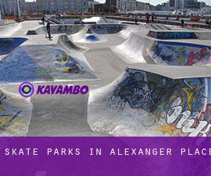 Skate Parks in Alexanger Place
