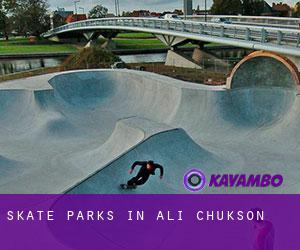 Skate Parks in Ali Chukson