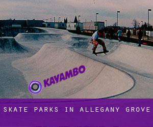 Skate Parks in Allegany Grove