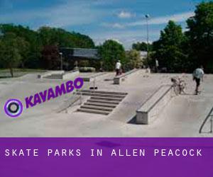 Skate Parks in Allen Peacock