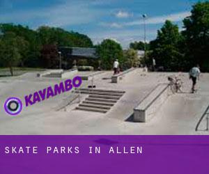 Skate Parks in Allen