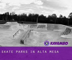 Skate Parks in Alta Mesa