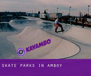 Skate Parks in Amboy