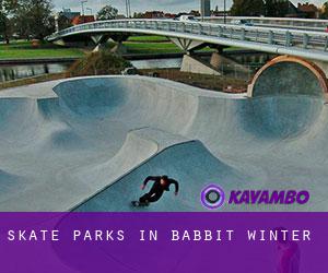 Skate Parks in Babbit Winter