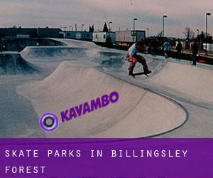 Skate Parks in Billingsley Forest